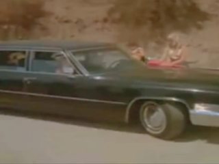 Maale cuzzins 1970 hd, tasuta maale xxx x kõlblik video 07